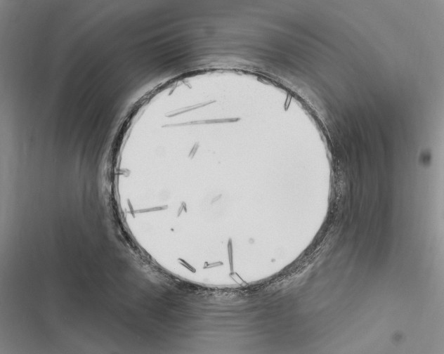 X0000116510979201001201441