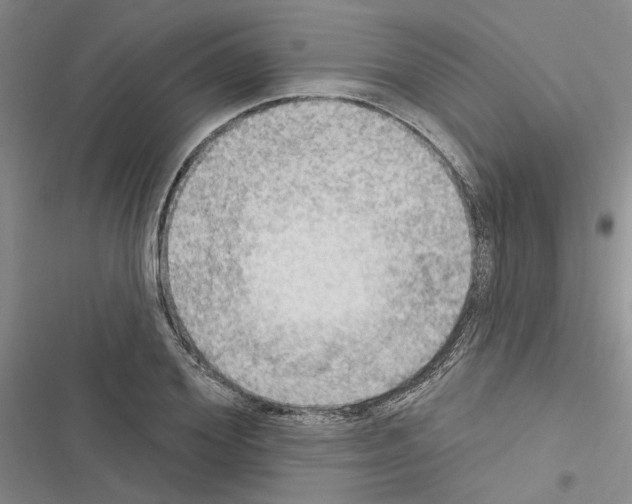 X0000116510980201001201441
