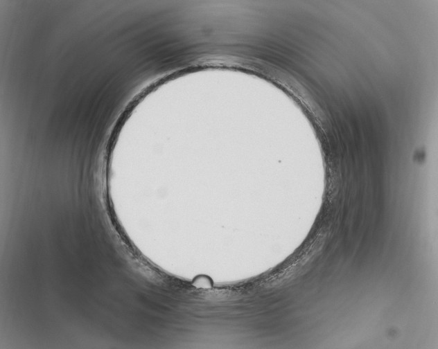 X0000116510984201001201441