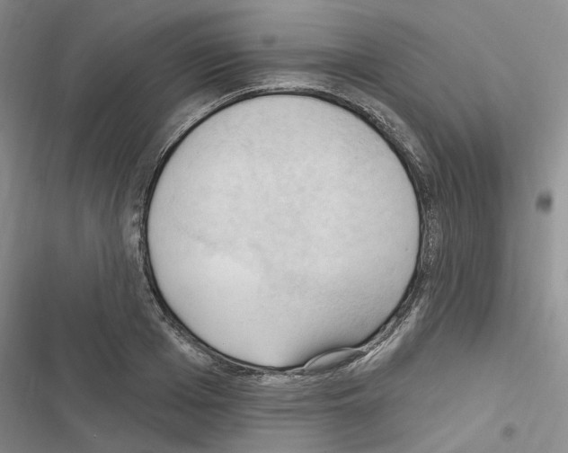 X0000116510985201001201441