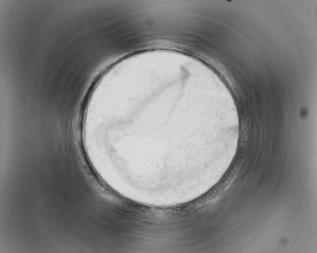 X0000116510987201001201441