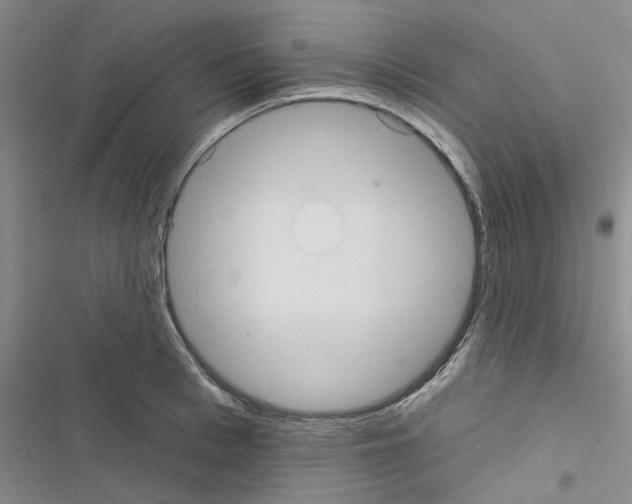 X0000116510993201001201441