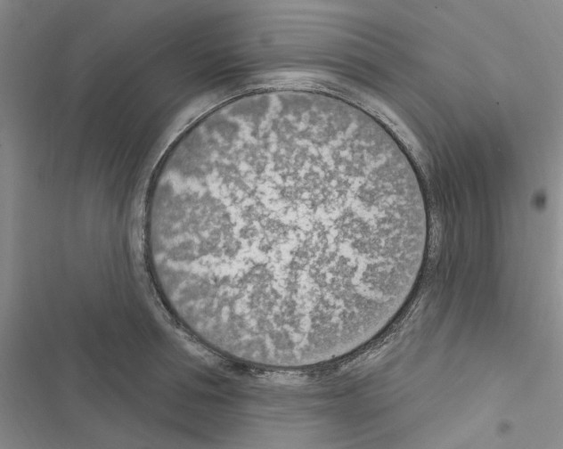 X0000116510994201001201441