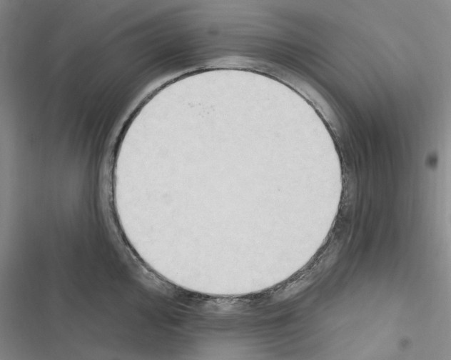 X0000116511000201001201441