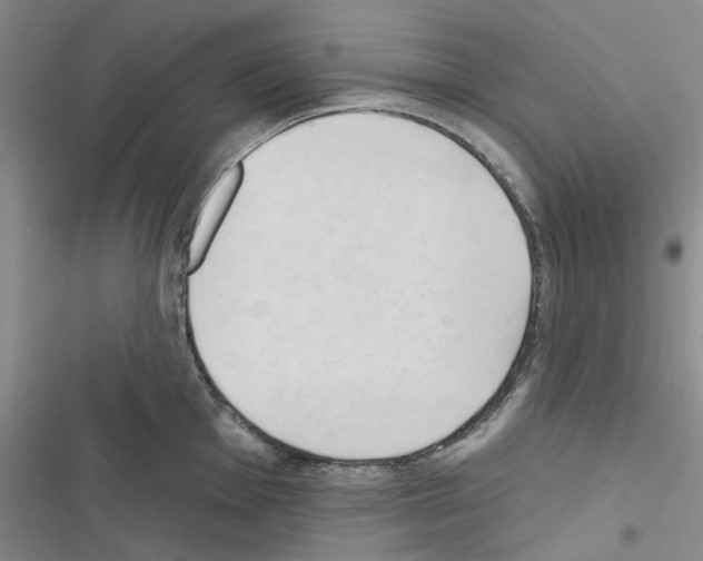X0000116511001201001201441