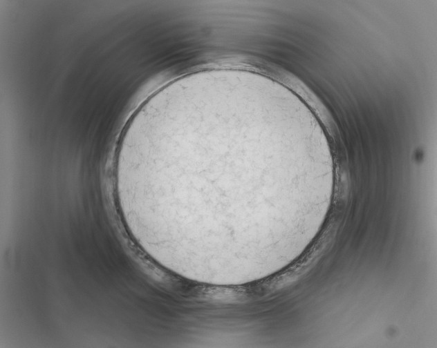 X0000116511002201001201441