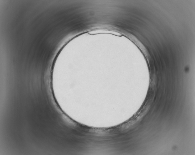 X0000116511005201001201441