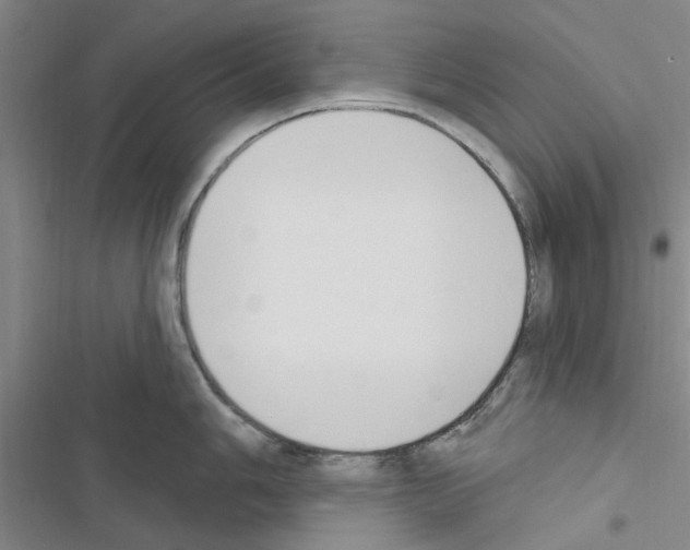 X0000116511006201001201441