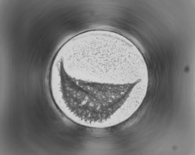 X0000116511007201001201441