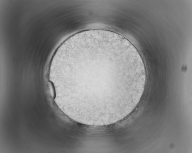 X0000116511008201001201441