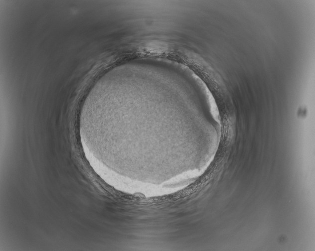 X0000116511009201001201440