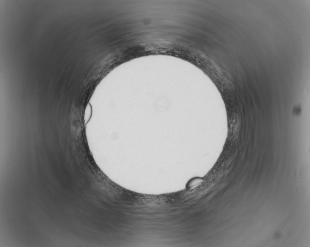X0000116511012201001201440
