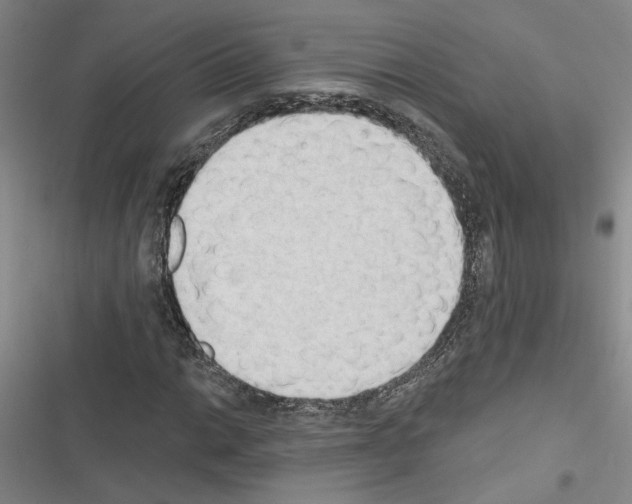 X0000116511014201001201440