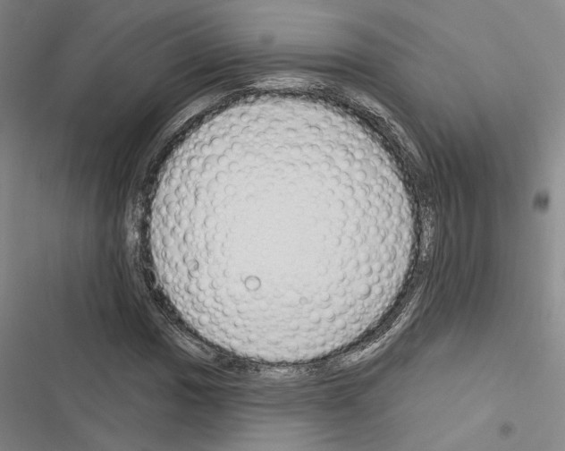 X0000116511017201001201440