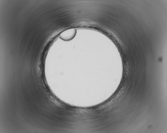 X0000116511018201001201440