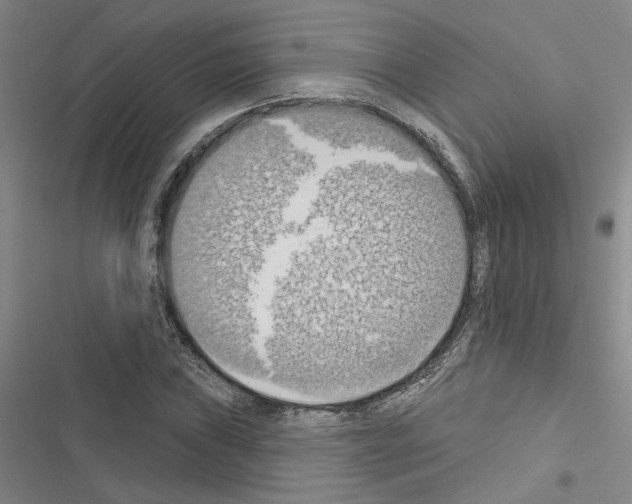 X0000116511019201001201440