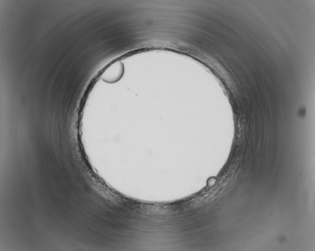 X0000116511020201001201440