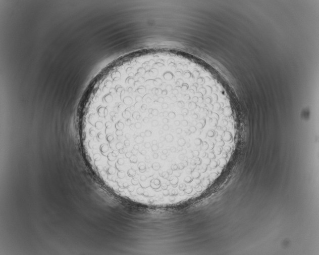 X0000116511022201001201441