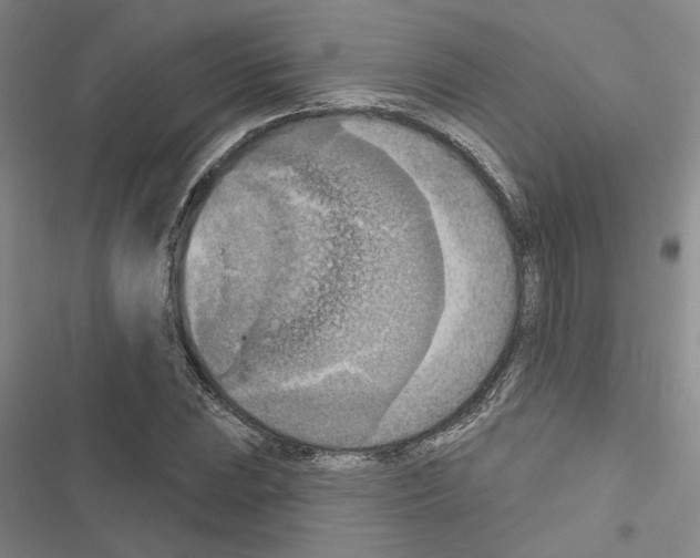 X0000116511023201001201441