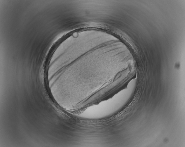 X0000116511024201001201441