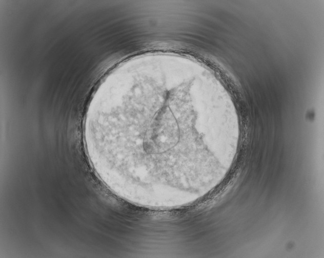 X0000116511025201001201441