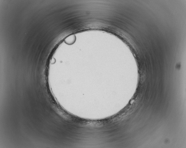 X0000116511026201001201441