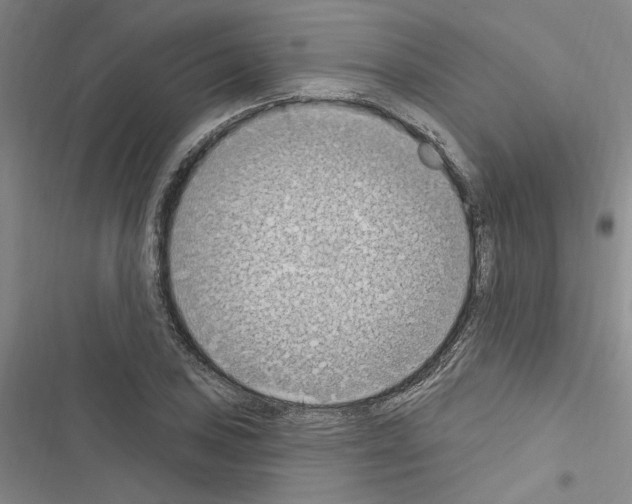 X0000116511027201001201441