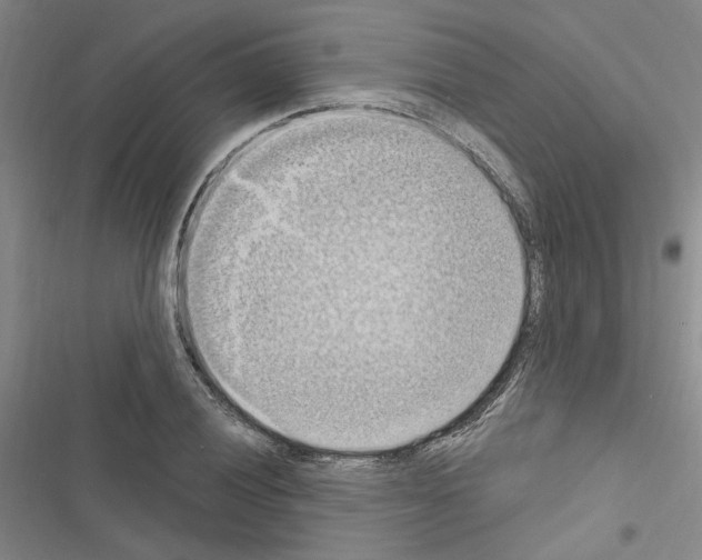 X0000116511028201001201441