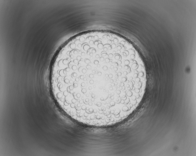 X0000116511030201001201441
