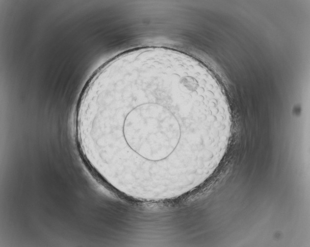 X0000116511032201001201441