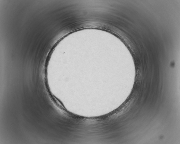 X0000116511034201001201441