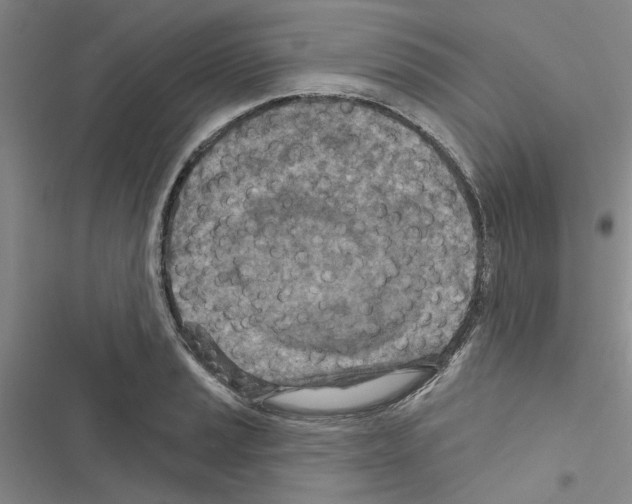 X0000116511037201001201441