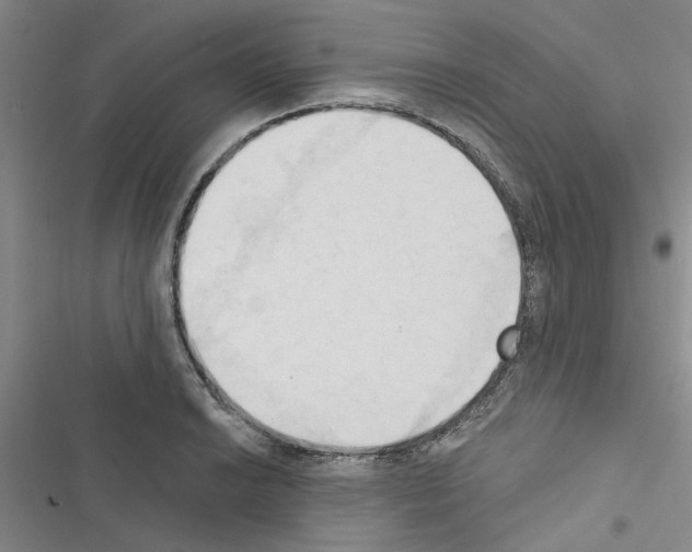 X0000116511038201001201441