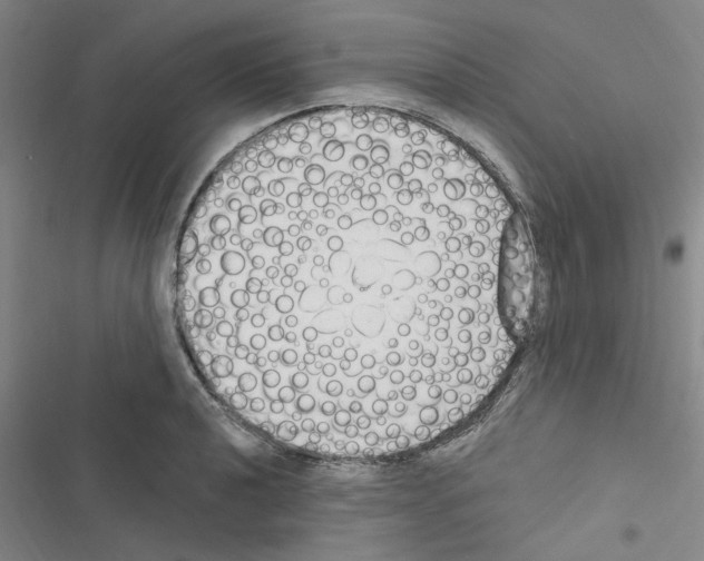 X0000116511040201001201441