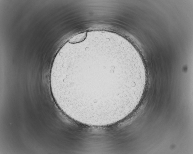 X0000116511041201001201441