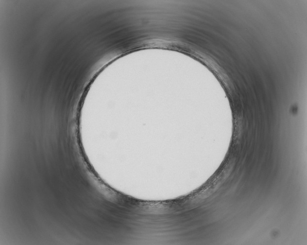 X0000116511042201001201441