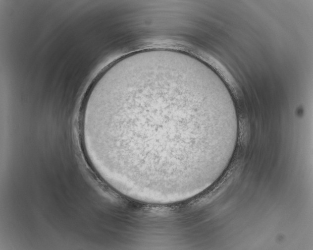 X0000116511043201001201441