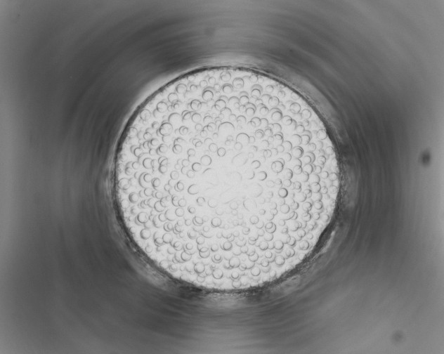 X0000116511044201001201441