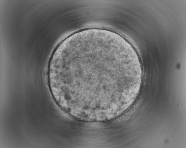 X0000116511045201001201441