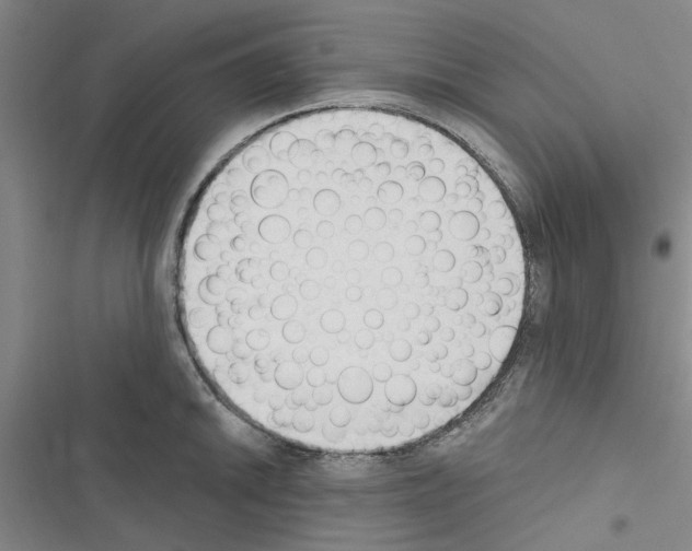 X0000116511046201001201441