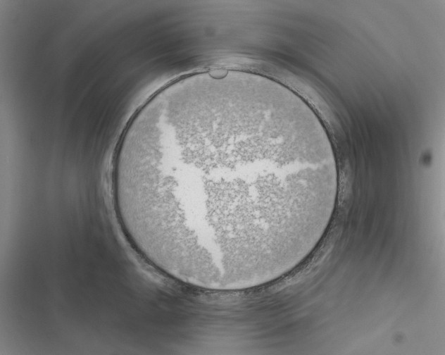 X0000116511047201001201441
