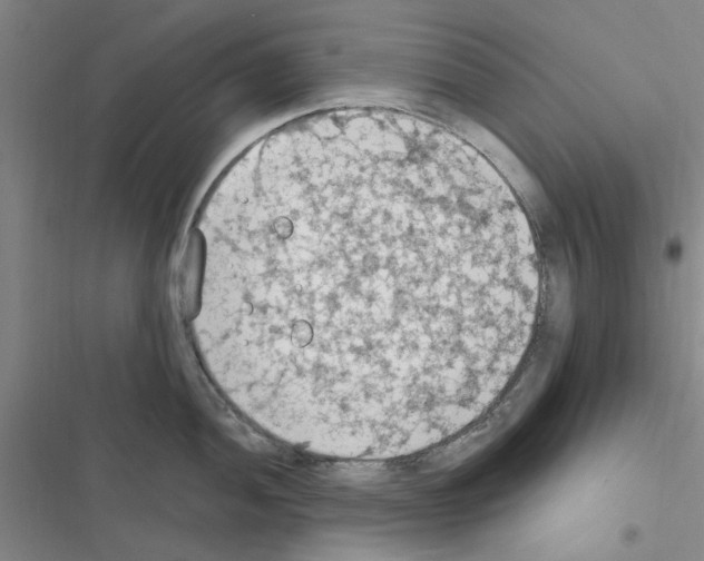 X0000116511052201001201441