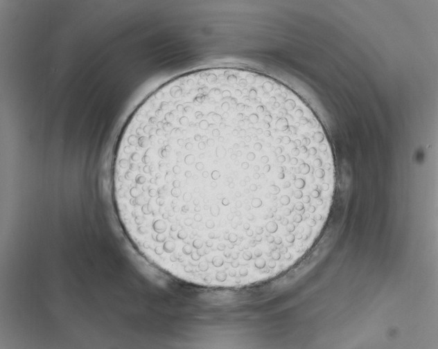 X0000116511054201001201441
