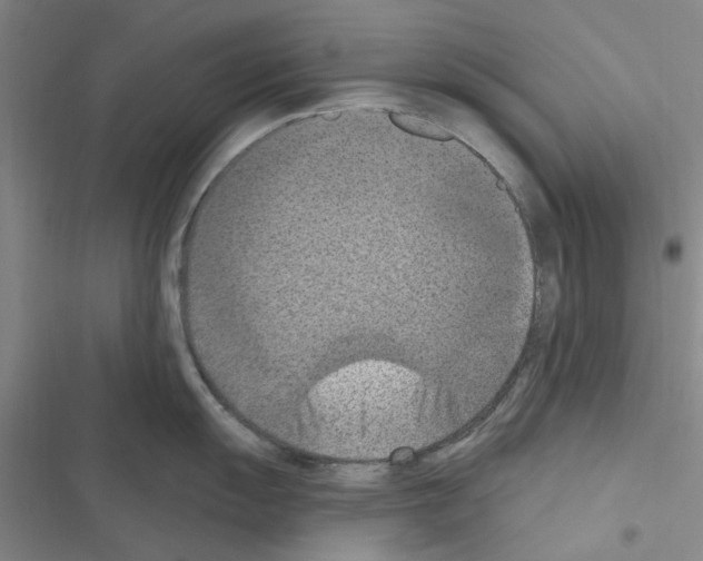 X0000116511055201001201441