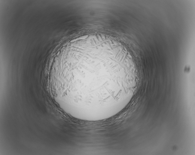X0000116511057201001201440
