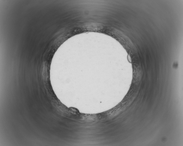 X0000116511058201001201440