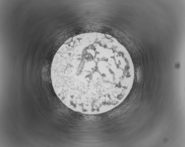 X0000116511059201001201440