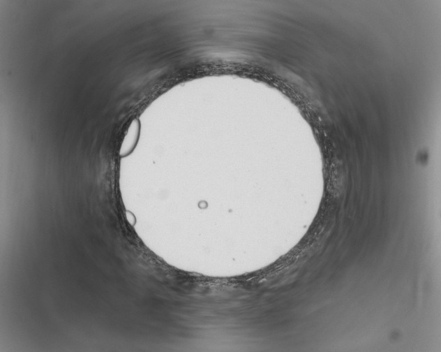X0000116511061201001201440