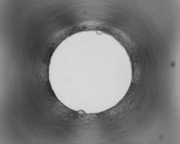 X0000116511062201001201440