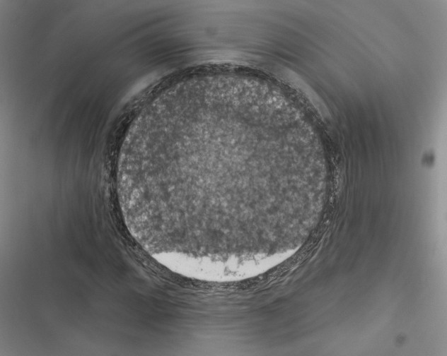 X0000116511064201001201440